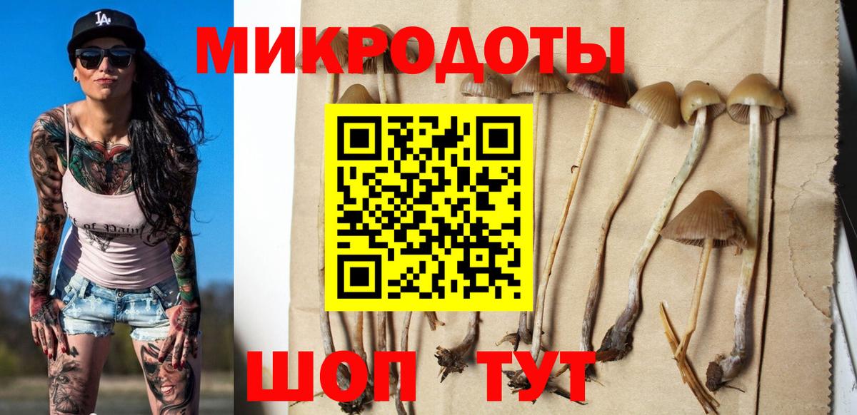 Галлюциногенные грибы мухоморы Серпухов